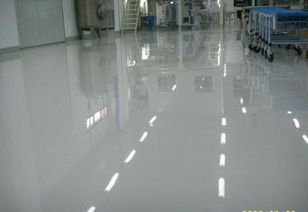 5b8747ead176dc8d.jpg